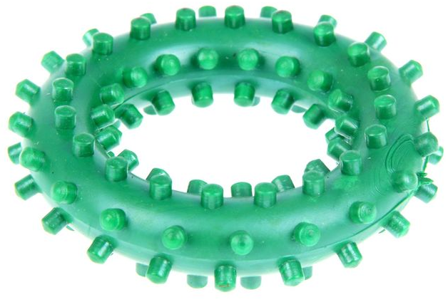 ЗООНИК игрушка кольцо с шипами  5,6 см n1 CИ80 КОМПАНИЯ ОРИС