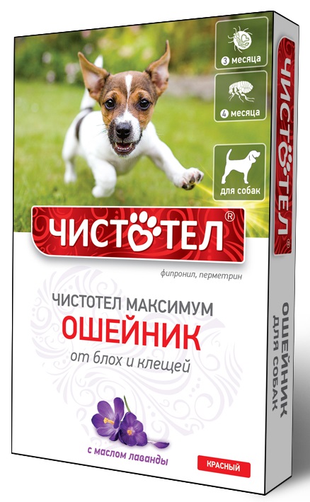 ЧИСТОТЕЛ МАКСИМУМ 65 см ошейник от блох и клещей для собак красный коробка Экопром ООО